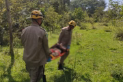 Vítima de 42 anos foi encontrada desnutrida e com diversas picadas de formiga