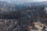 Incêndios começaram em florestas no Chile