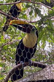 O destino é conhecido pela biodiversidade