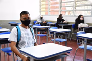 Durante os três anos de formação, optarão por diferentes disciplinas a cada semestre, com exceção de matemática, português e educação física ─ obrigatórias em todo o curso
