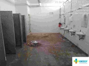 A obra começou na sexta-feira (24/2)