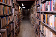 A Saber Ler Sebo conta com mais de 50 mil livros à disposição dos leitores compulsivos