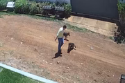 Depois, ele puxa o cachorro com força pela guia