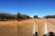 Embargo da obra viária no Parque da Cidade, ocorreu após fiscalização realizada pelo Iphan na última sexta-feira (19/7)