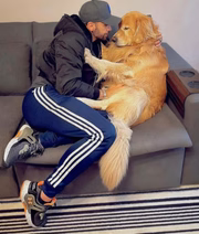 O tutor postava fotos com Joca nas redes sociais