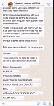 Print mostra ataque de fúria de Janones com sua equipe no WhatsApp