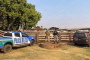 Policiais monitoram propriedade em Goiás