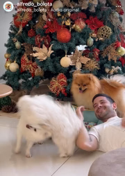 Samy Chitayat e os cachorros da família de Dr. Deodalto