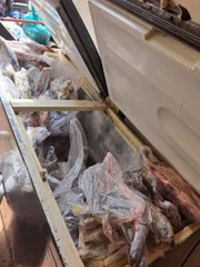 Polícia Ambiental apreende 125 quilos de pescados em Presidente Prudente e doa a centro de recuperação de dependentes químicos em Álvares Machado (SP)
