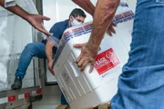 Goiás recebe nova remessa de vacinas para serem aplicadas na população