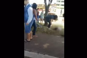 Cinco crianças foram atropeladas na faixa de pedestre 