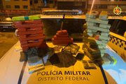 Prisão ocorreu na quinta-feira (11/8)