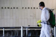 As instalações da Câmara passaram por um processo de limpeza e desinfeção para a volta dos trabalhos