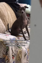 E o deixa sob os cuidados de seu namorado 